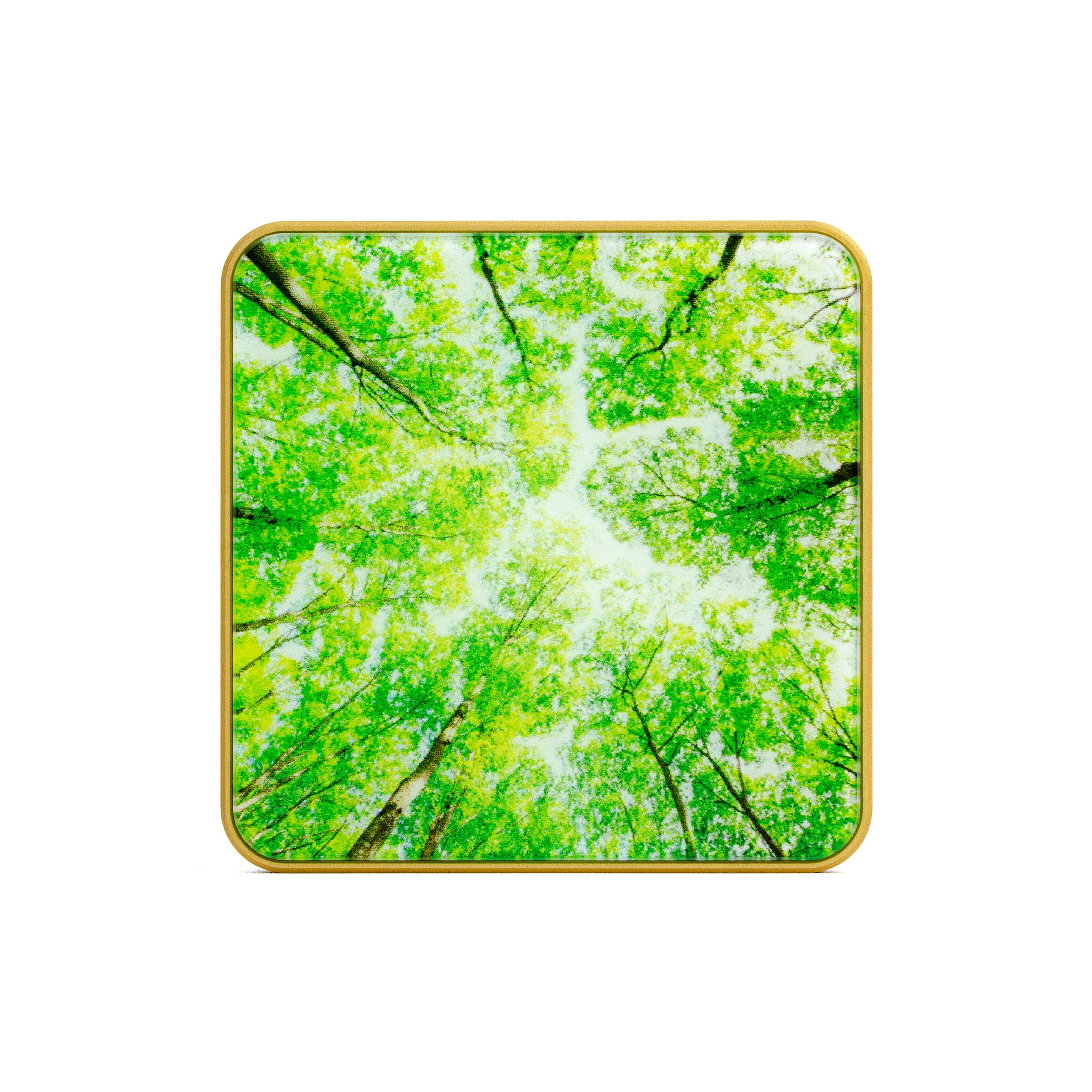 AIRVALENT - Cime des arbres