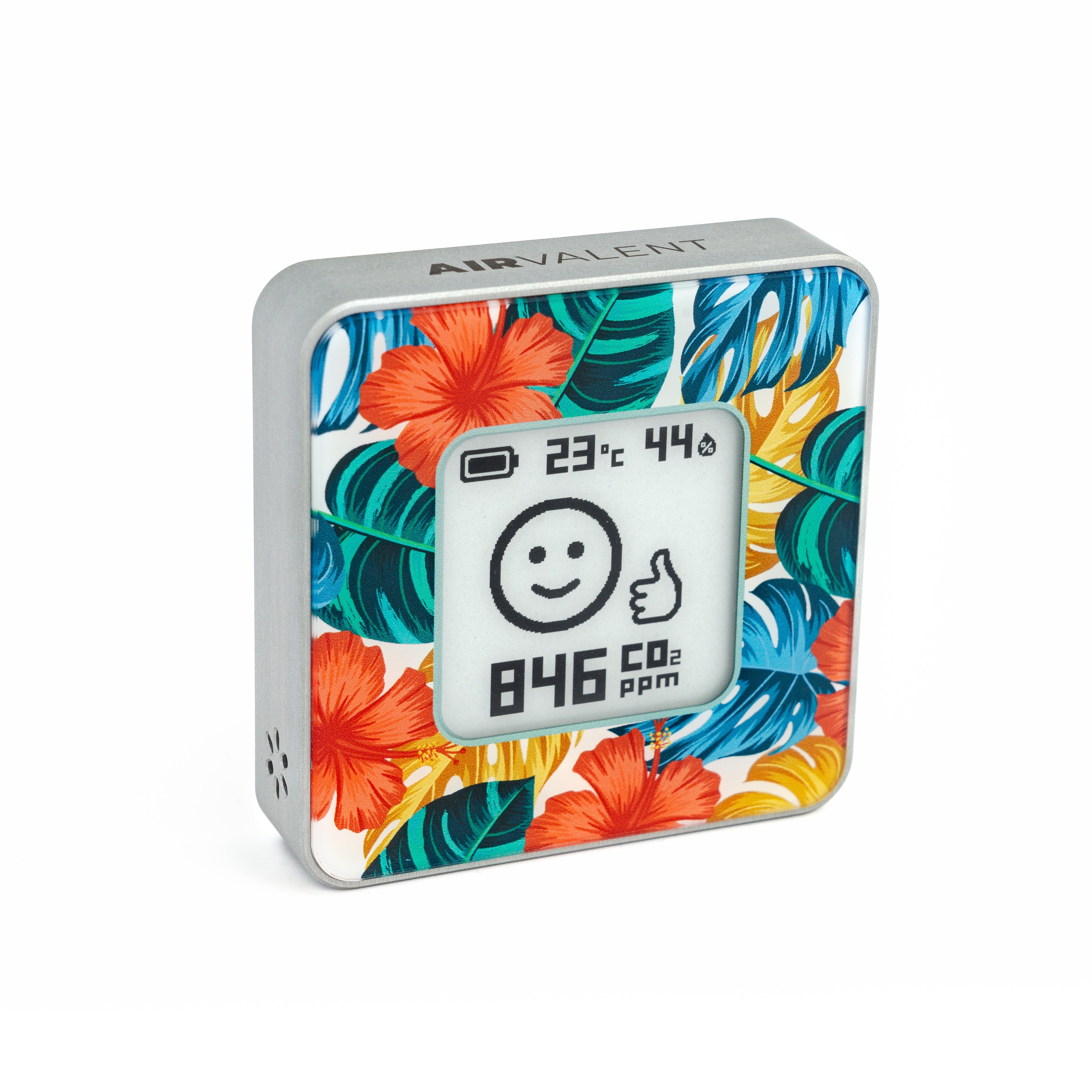Premium Design - Tropical