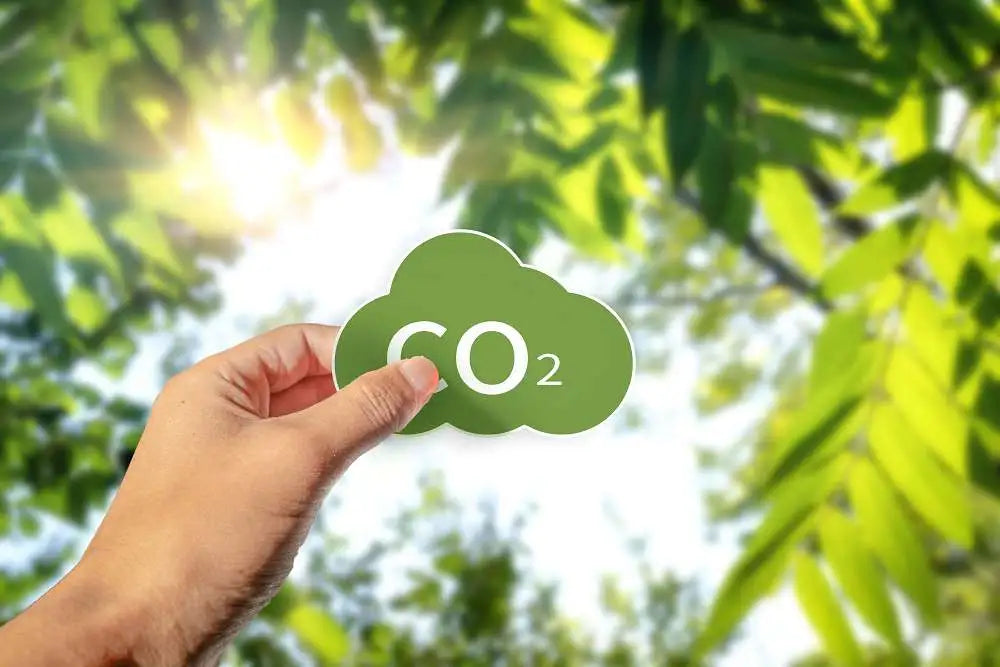 How to Pick the Right CO2 Monitor: Essential Tips for Smart Choices