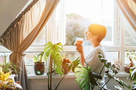 What is a Good CO2 Level for Indoors: A Guide to Healthy Indoor Air