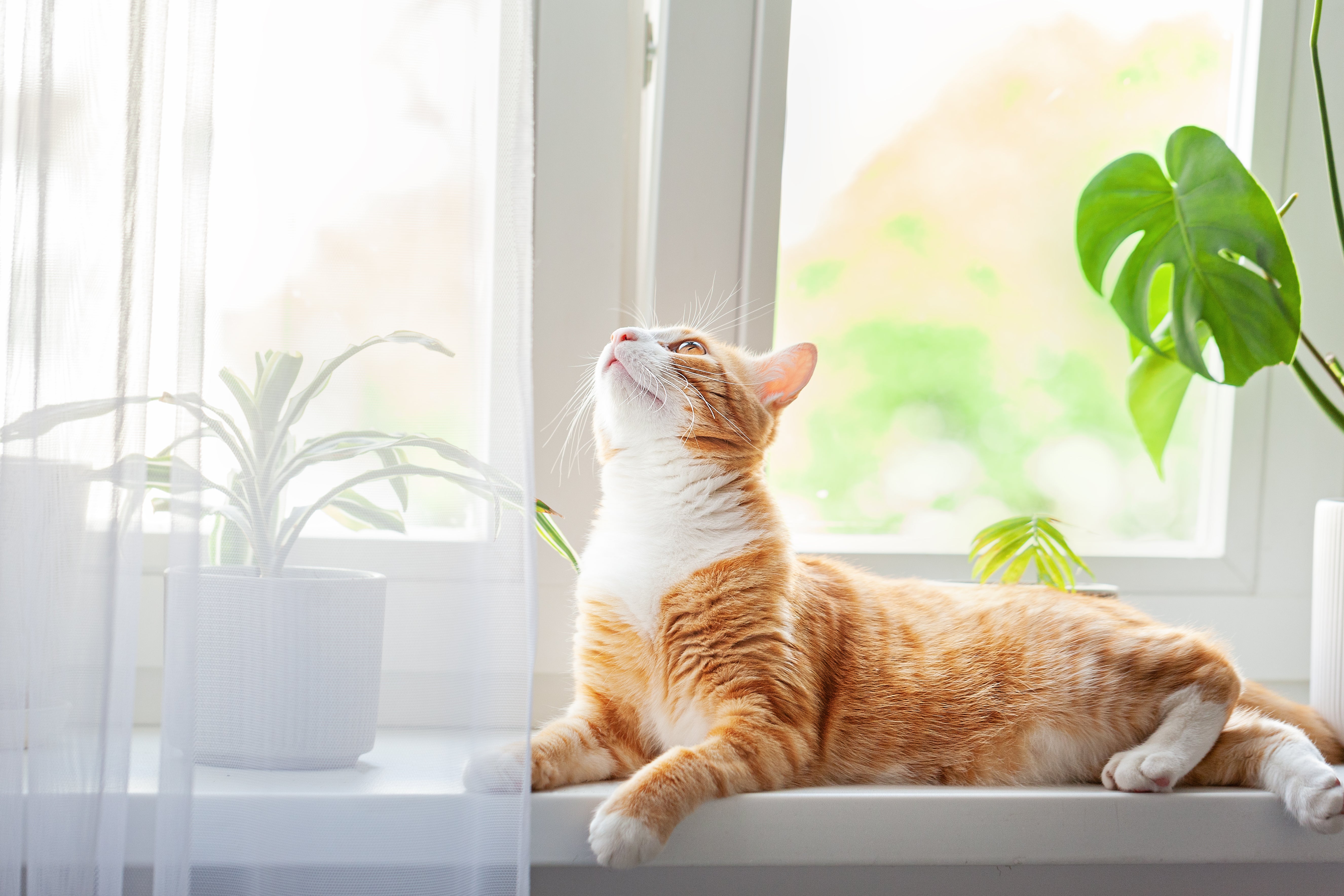 10 Interesting facts about the air you might not know
