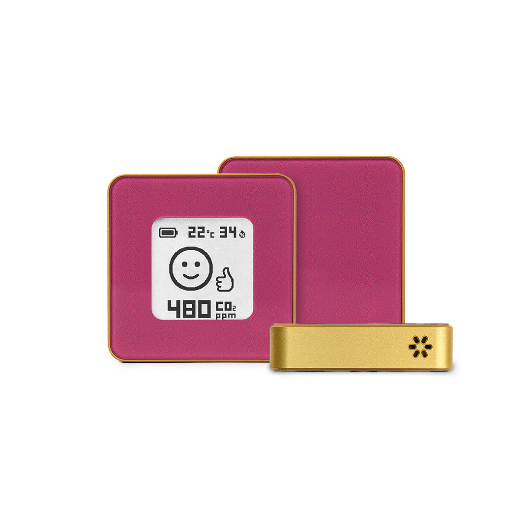 Premium - Dusty rose in gold