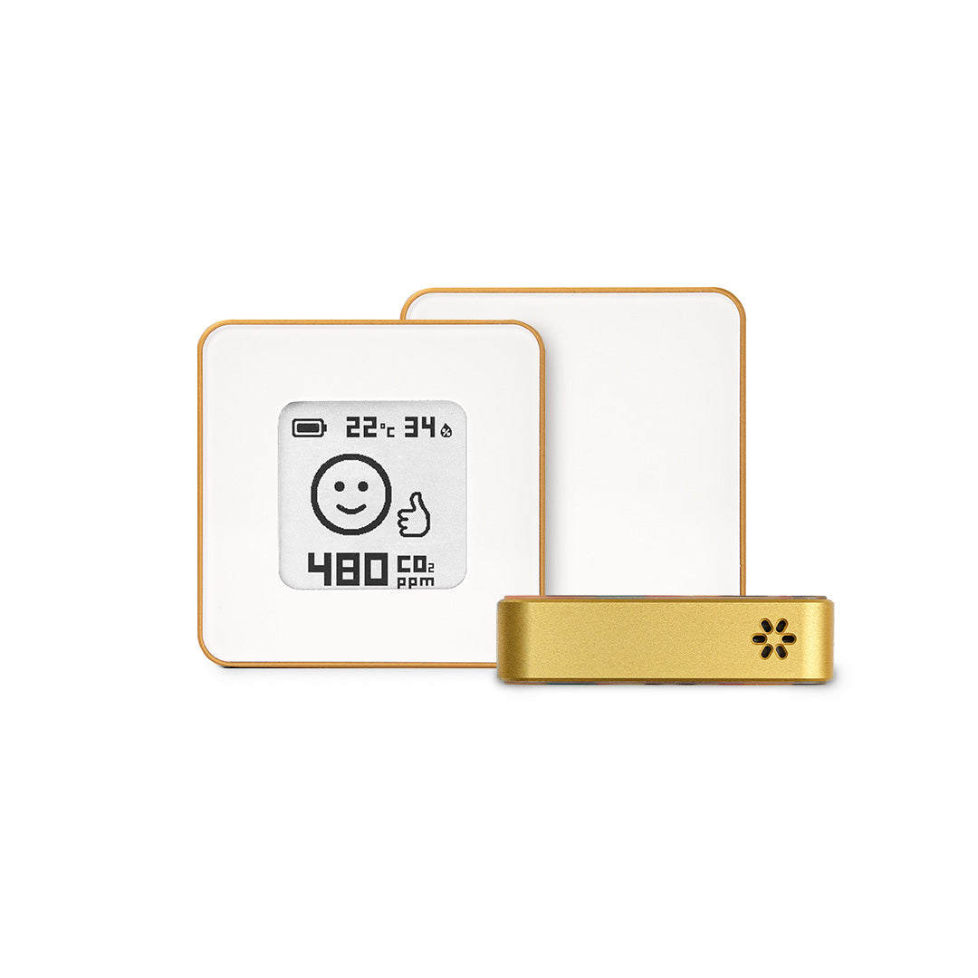 Premium - White in Gold