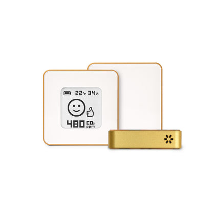 Premium - White in Gold