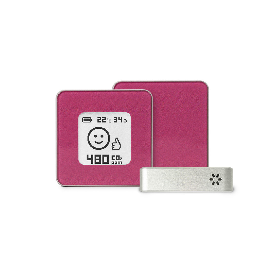 Premium - Dusty rose in silver