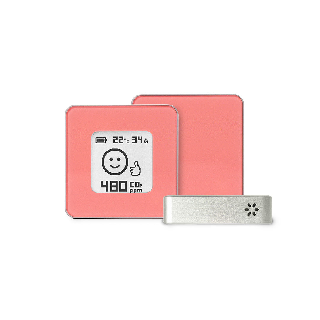 Premium - Bunny Pink