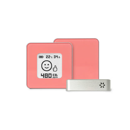 Premium - Bunny Pink